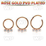 seghr16f rose gold steel hinged segment ring 16g  w crystals