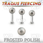 tlbfo5s 316l steel tragus labret 16g w a 5mm frosted steel ball 