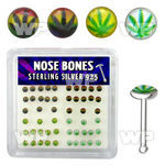 u4bife box w silver 925 nose bone assorted marijuana logo desig nose piercing
