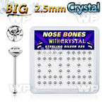 u4e96f box w silver 925 nose bone big 2 5mm clear crystal tops nose piercing