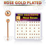 u4fa34k box w silver 925 nose bone real rose gold plated 2mm 