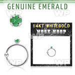 whge10 14kt white gold nose hoop w 2mm prong set emerald stone