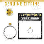 whge6 14kt white gold nose hoop w 2mm prong set citrine stone
