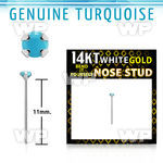 wyge7 14kt white gold bend it nose stud w 2mm turquoise
